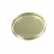 Nutrient agar 